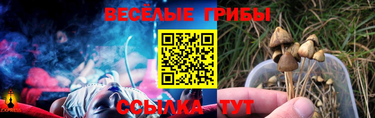 Галлюциногенные грибы мухоморы  Вход с VPN  Киселёвск 